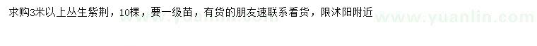 求購3米以上叢生紫荊