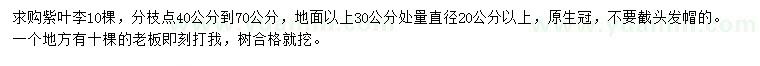 求購(gòu)30量20公分以上紫葉李