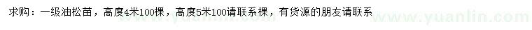 求購(gòu)高4、5米油松苗