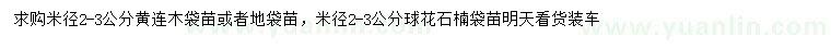求購米徑2-3分黃連木、球花石楠