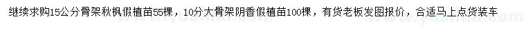 求購15公分秋楓、10公分陰香