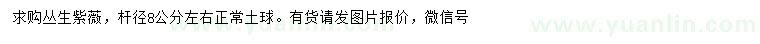 求購叢生紫薇