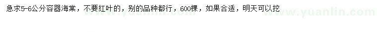 求購5-6公分海棠