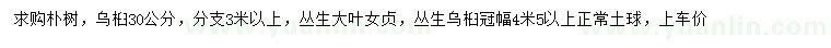 求購樸樹、烏桕、叢生大葉女貞等