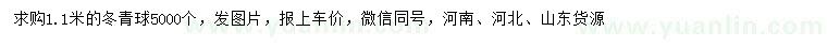 求購1.1米冬青球