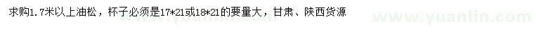 求購(gòu)1.7米以上油松
