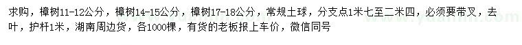 求購11-12、14-15、17-18公分樟樹