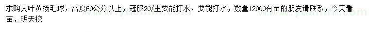 求購高60公分以上大葉黃楊毛球