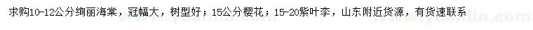 求購(gòu)絢麗海棠、櫻花、紫葉李