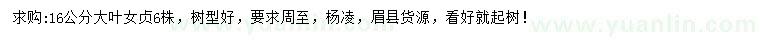 求購16公分大葉女貞