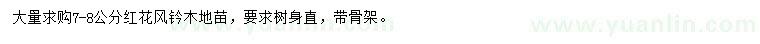 求購(gòu)7-8公分紅花風(fēng)鈐木