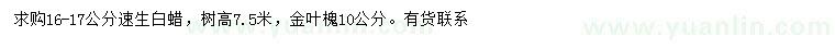 求購16-17公分速生白蠟、10公分金葉槐