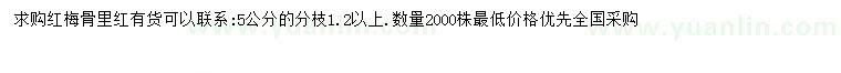 求購(gòu)5公分紅梅骨里紅