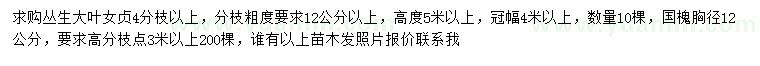 求購(gòu)高5米以上叢生大葉女貞、胸徑12公分國(guó)槐