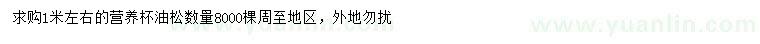 求購購1米左右油松