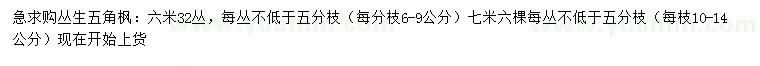 求購(gòu)叢生五角楓