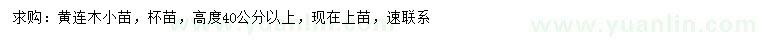 求購高40公分以上黃連木小苗