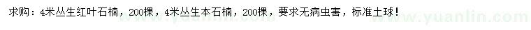 求購(gòu)4米叢生紅葉石楠、叢生本石楠