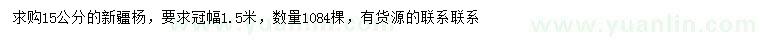 求購15公分新疆楊