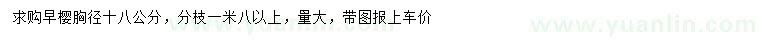 求購胸徑18公分早櫻