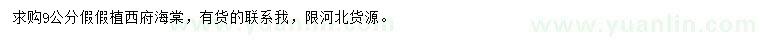 求購(gòu)9公分西府海棠