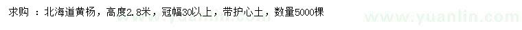 求購高2.8米北海道黃楊