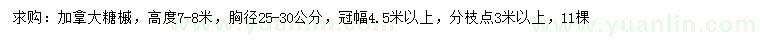 求購胸徑25-30公分加拿大糖槭