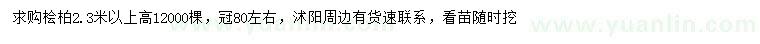 求購高2.3米以上檜柏