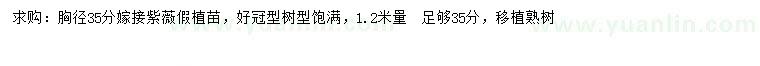 求購胸徑35分紫薇