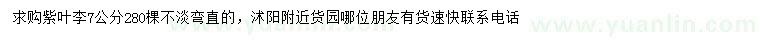 求購7公分紫葉李