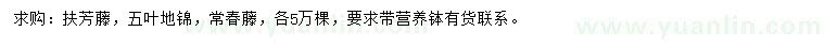 求購扶芳藤、五葉地錦、常春藤