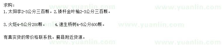 求購太陽李、金葉榆、火炬等
