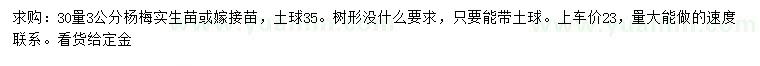 求購30量3公分楊梅