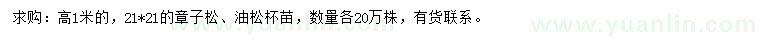 求購高1米章子松、油松