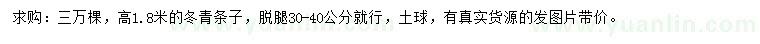 求購高1.8米冬青