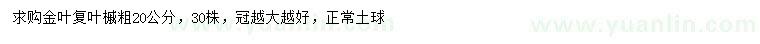 求購20公分金葉復(fù)葉槭
