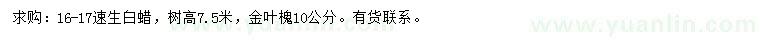 求購16-17速生白蠟