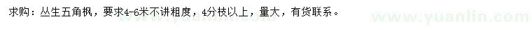 求購4-6米叢生五角楓