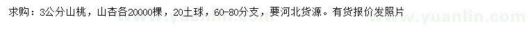 求購3公分山桃、山杏