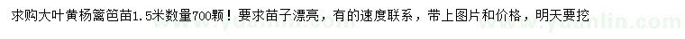 求購1.5米大葉黃楊