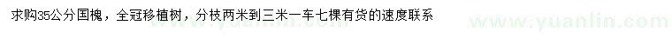 求購35公分國槐