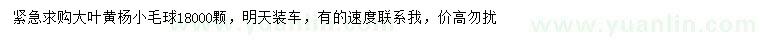 求購(gòu)大葉黃楊小毛球