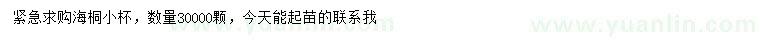 求購海桐小杯