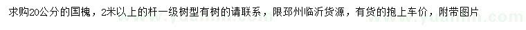 求購20公分國槐
