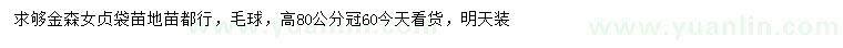 求購高80公分金森女貞