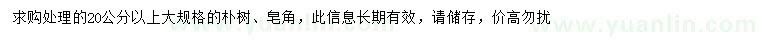 求購20公分以上樸樹、皂角