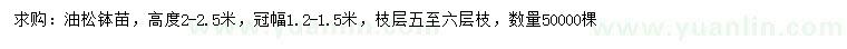 求購高2-2.5米油松