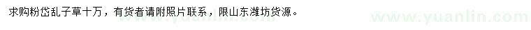 求購粉黛亂子草