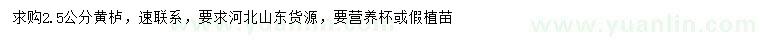 求購2.5公分黃櫨