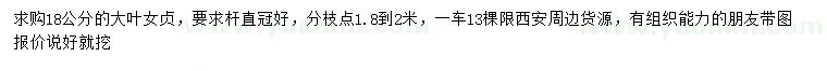 求購18公分大葉女貞